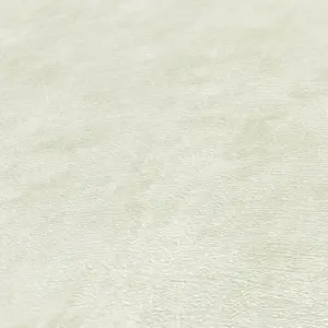 A.S. Création Vinyltapete - 389225 - Grün  Uni