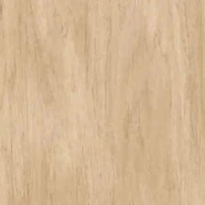Elements 2