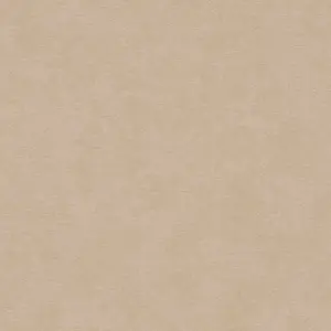 A.S. Création Vliestapete - 399386 - Beige  Unis