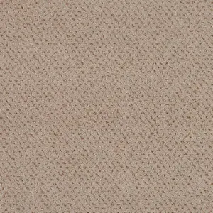 Pilotis - 462 HEMP