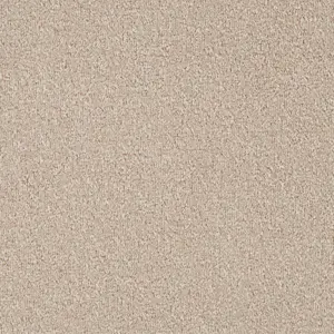 Pilotis - 250 MAGNOLIA