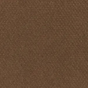 Pilotis - 261 CAMEL