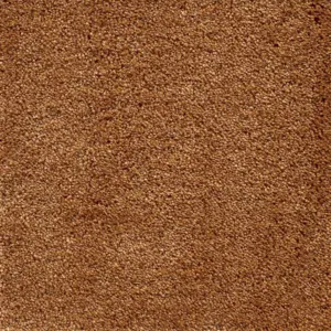 Lounge - 48