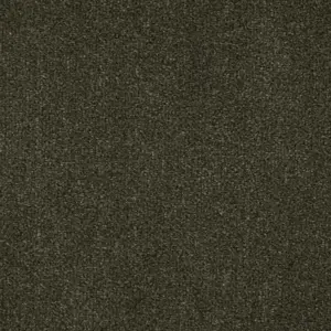 Zen - 29