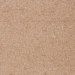 Sensation New, Sensualite - 41