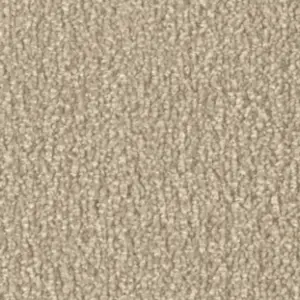 Fascination, Calla - 8L53