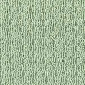 Fascination, Constance - 4H85