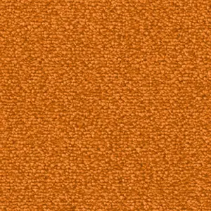 Fascination, Lyrica - 1P95