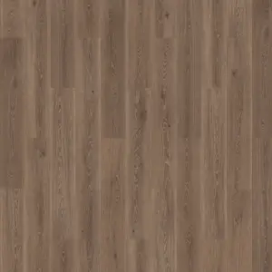 Home for Future - Exotic Dream Dark Brown