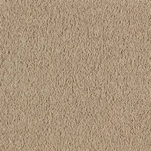 SmartStrand - 0450 SAND