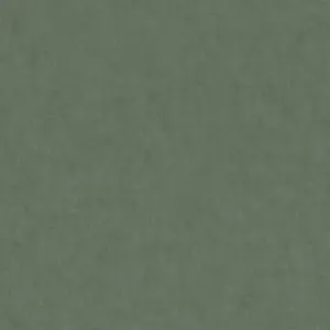 A.S. Création Vinyltapete - 375364 - Grün  Unitapete