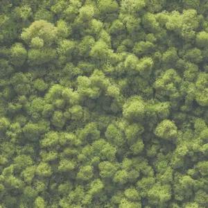 A.S. Création Vinyltapete - 394051 - Grün  Mooswandoptik