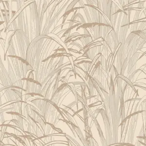 A.S. Création Vliestapete - 386002 - Beige Creme Tapete Pampasgras