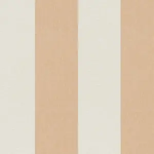 A.S. Création Vliestapete - 397942 - Orange Creme Streifen