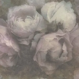 Livingwalls Vinyltapete - 373921 - Lila Grün Florale Tapete