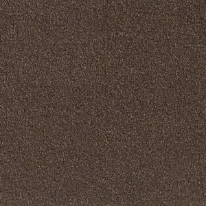 Pilotis - 210 TOBACCO