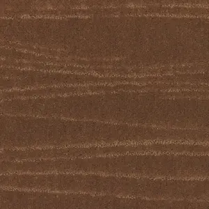 Carve Linea - 261 CAMEL