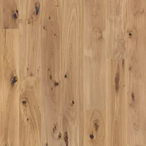 Intro - EICHE BLONDE 1 Stab