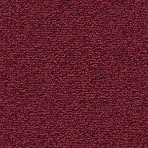 Fascination, Lyrica - 1N41