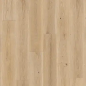 iD Inspiration Click Solid 55 AUTHENTICS - AUTHENTICS - Highland Oak - Golden