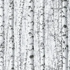A.S. Création Papiertapete - 388541 - Schwarz Weiß Wald