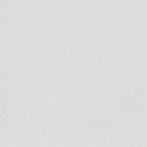 A.S. Création Vliestapete - 397829 - Hellgrau  Einfarbig
