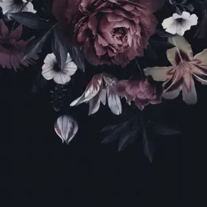 Livingwalls Vinyltapete - 382791 - Schwarz Rot Florale Tapete