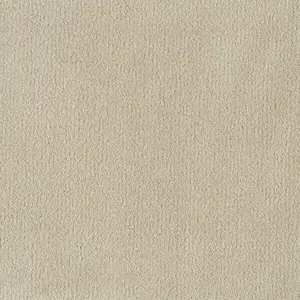 X Wohnen - 0260 CAMEL