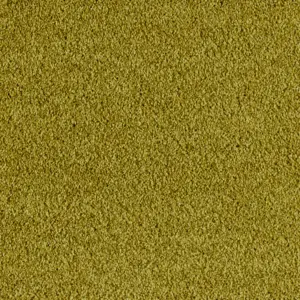 X Wohnen - 0540 CURRY