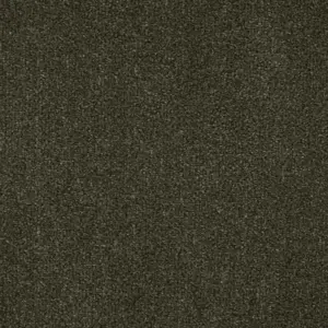 Zen - 29