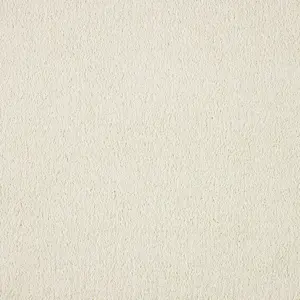Vibes, Vivendi - 03