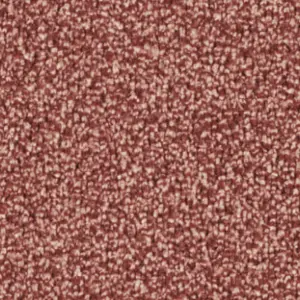 Fascination, Calla - 1Q21