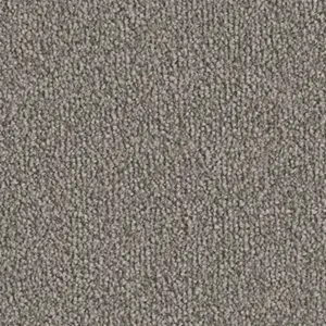 Fascination, Safira - 5U23