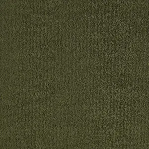 Dream - 0591 MOSS