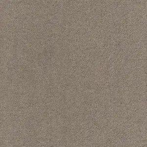 SmartStrand - 0263 BEIGE