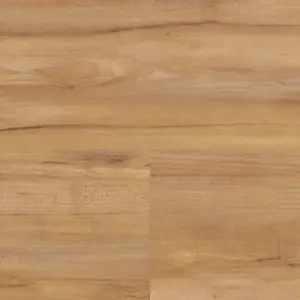 Wineo 800 wood zum Klicken - Honey Warm Maple