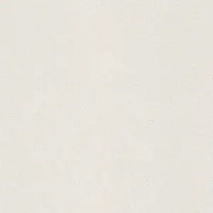 A.S. Création Vliestapete - 563019 - Überstreichbar Weiß Unitapete