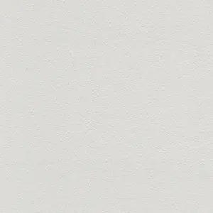 A.S. Création Vliestapete - 570314 - Überstreichbar Weiß Unitapete