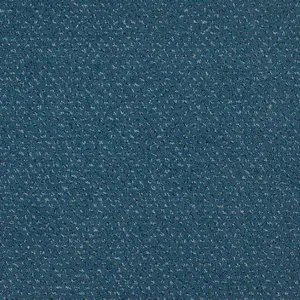 Pilotis - 772 SAPPHIRE