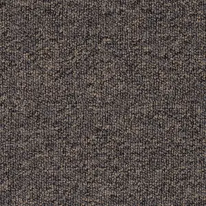 Pilotis - 810 CHARCOAL